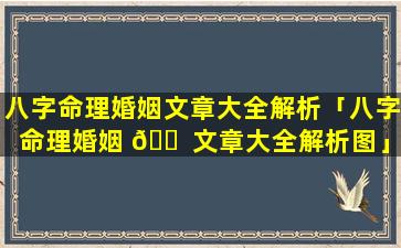 八字命理婚姻文章大全解析「八字命理婚姻 🐠 文章大全解析图」